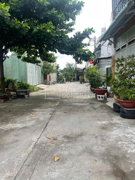 Sát chợ minh phát – gần 90m² ngang 6.5m – nhà c4 tiện xây mới – 4.95 tỷ